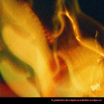 wmo16cd